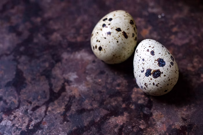 A photo of two egs next to each other
